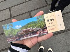 -峨眉山报国寺