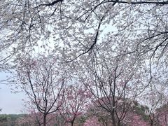 -凤凰沟景区