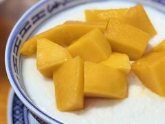 -韵姐牛奶甜品世家