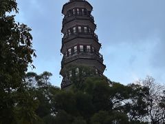 -顺峰山公园