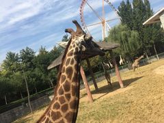 -石家庄市动物园