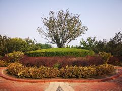-古塔公园