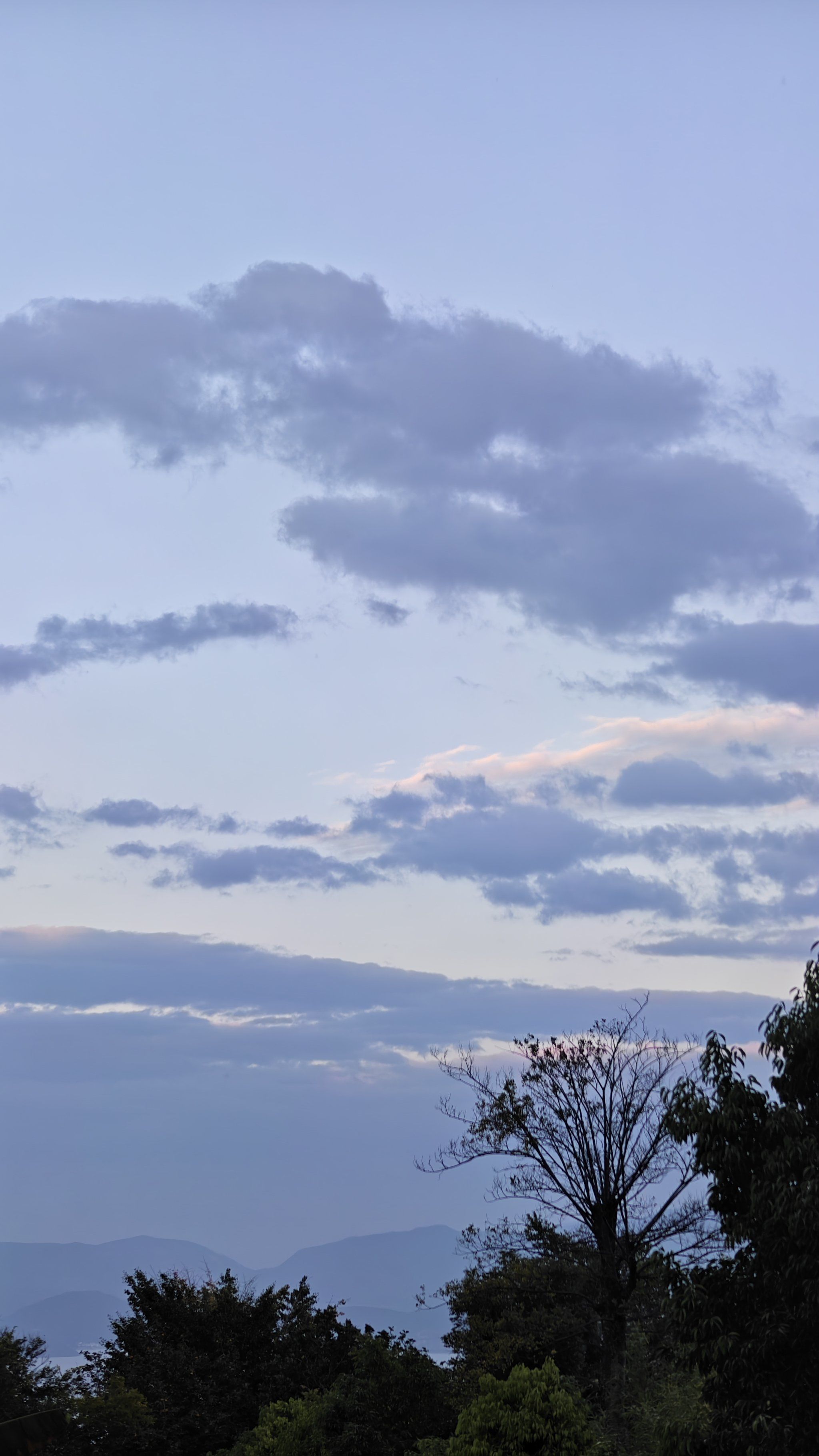 0元玩转这座城
大理太美了
满天云霞
随手拍大片