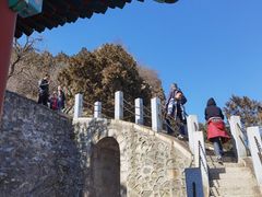 -北京鹫峰国家森林公园