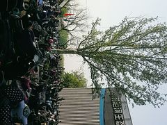 -临汾涝洰河生态公园