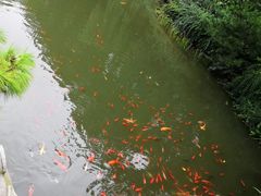 -南京东郊国宾馆