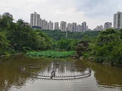 -龙头寺公园