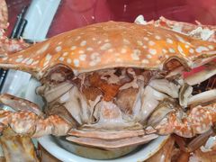 -小铜锣湾海鲜家常菜馆(河西店)