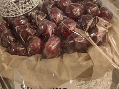 -洛阳周王城天子驾六博物馆