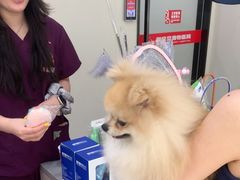 -御宝贝24h宠物医院·转诊中心·CT核磁血透中心(厦门总院)