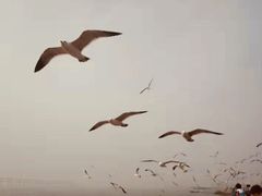 -大连星海广场音乐喷泉