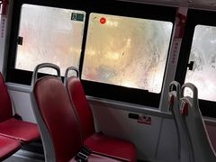 -BUS TOUR观光巴士