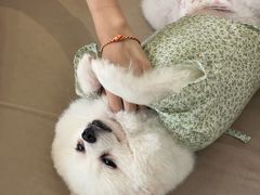 -怪兽屋·羊驼·猫咖·狗咖(俊华广场店)