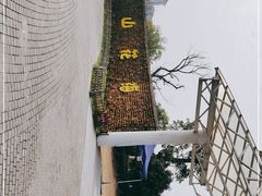 -径山花海