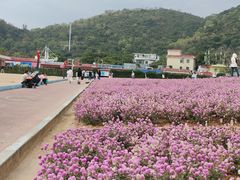 -玫瑰海岸文化旅游度假区