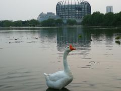 -东华大学第一食堂(松江校区店)