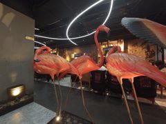 -水木锦堂·自助铁板烧(望京凯德MALL店)