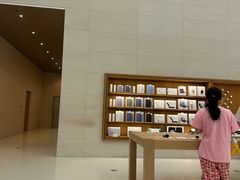 -Apple零售店(苏州店)