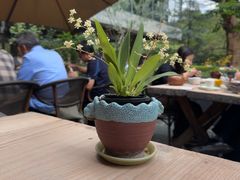 -缘生态云南菜·野生菌庭院餐厅(华侨城店)