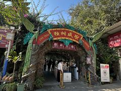 -独树成林