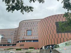 -中国宋庆龄青少年科技文化交流中心