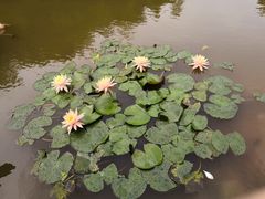 -云溪植物园