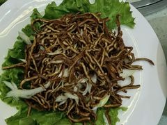-阳坊胜利涮羊肉(阳坊老店)