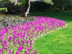 -上海虹桥迎宾馆
