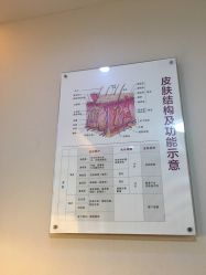 -美莱医学美容医院