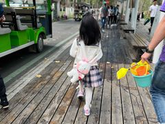 -合肥滨湖国家森林公园