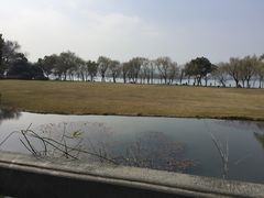 -闻莺馆(柳浪闻莺店)