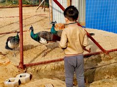 -龙湖东院农庄(乡间小路店)