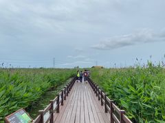 -宁波杭州湾国家湿地公园