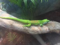 -上海大自然野生昆虫馆(东方明珠·爬宠昆虫探索中心)