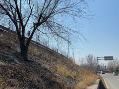 -永定河休闲森林公园