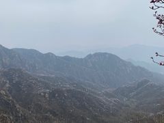 -大岭沟猕猴桃谷风景区