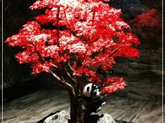 -红辣椒·川菜·火锅(大洋中心店)