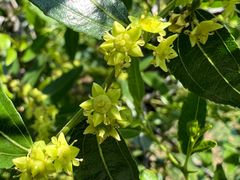 -天津盘山风景名胜区