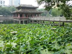 -孺子亭公园