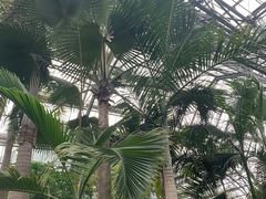 -南山植物园