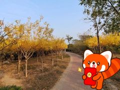 -大港湿地公园