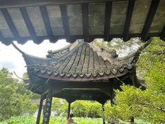 -上海醉白池公园