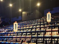 -武商摩尔影城(国广IMAX激光店)