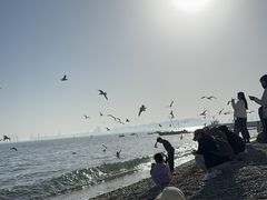 -泊石湾海滨浴场