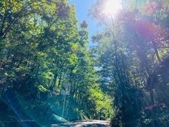 -洛阳白云山景区