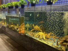 -泓历皇朝酒店(东亭店)