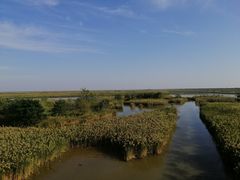 -盐城丹顶鹤湿地生态旅游区