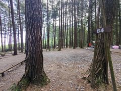 -重庆睡佛山森林公园