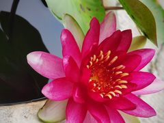 -陈武帝故宫