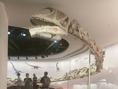 -自贡恐龙博物馆